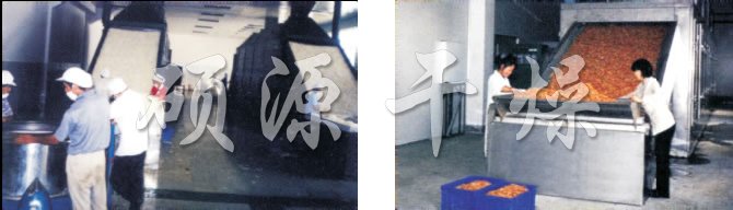 DW多層帶式干燥機(jī) DW多層帶式干燥機(jī)